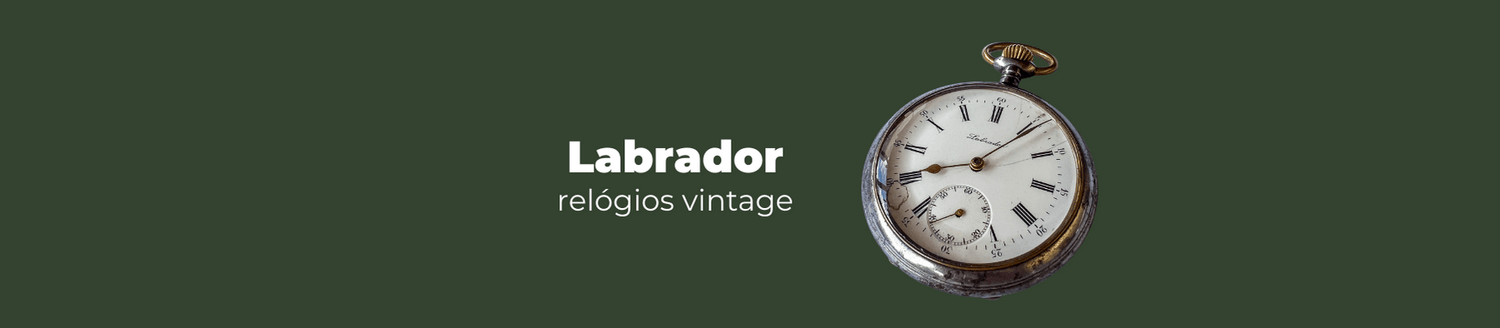 relógios vintage labrador