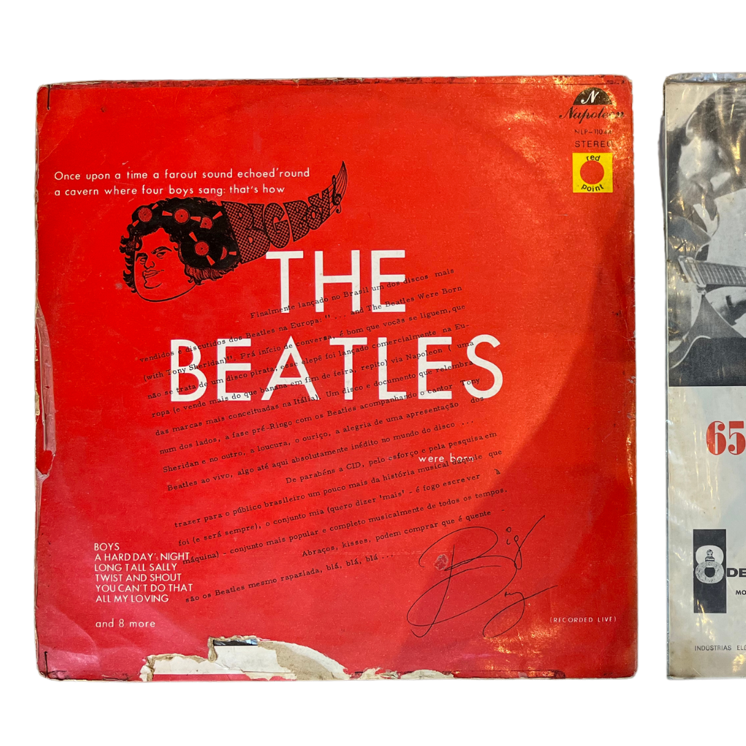 Dupla de Discos de Vinil The Beatles