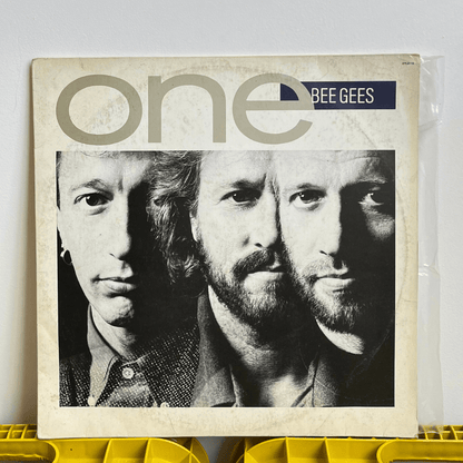 Dupla de Discos de Vinil do Bee Gees - anos 1980