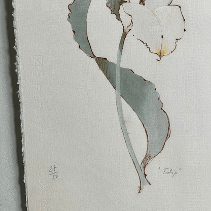 Litografia 'Tulip' de Attilio Baschera, 27/50