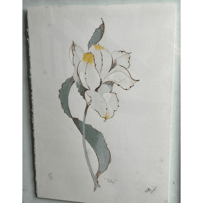 Litografia 'Tulip' de Attilio Baschera, 27/50