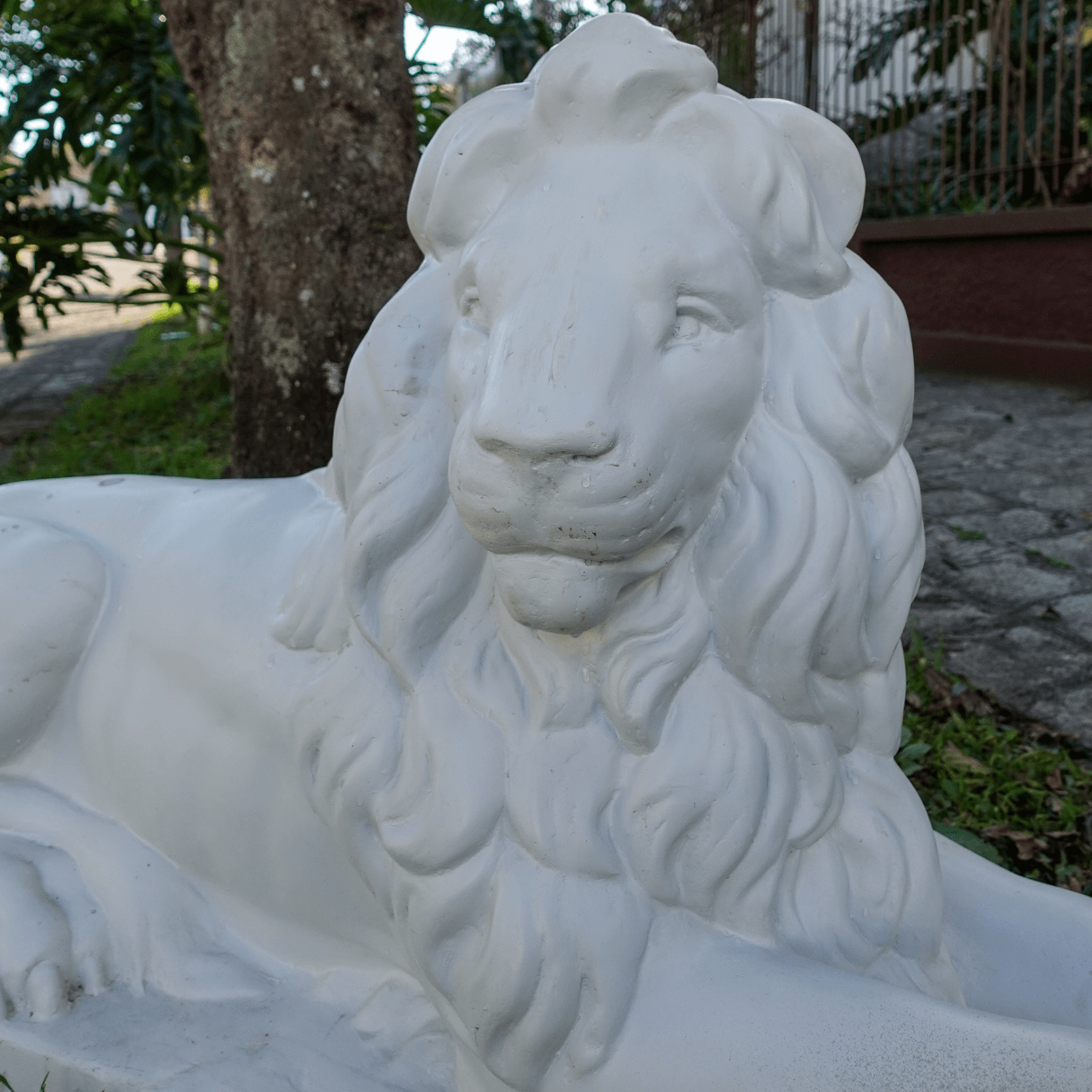 Escultura Leão em Tamanho Natural feito em Fibra