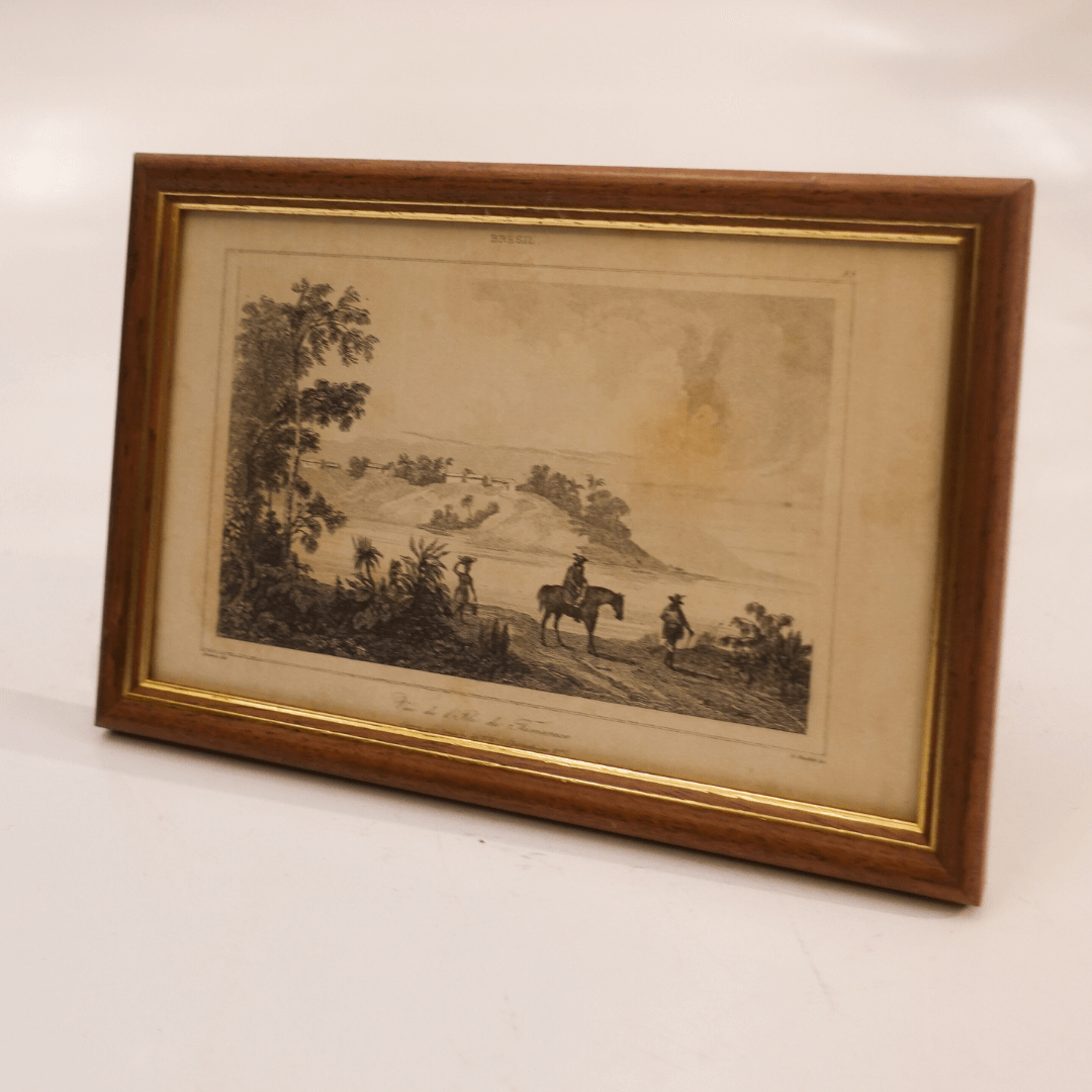 Vue de L'Ile de Tamaraca, Gravura original de 1837, Numerada 85 - Danvin - S.Cholet