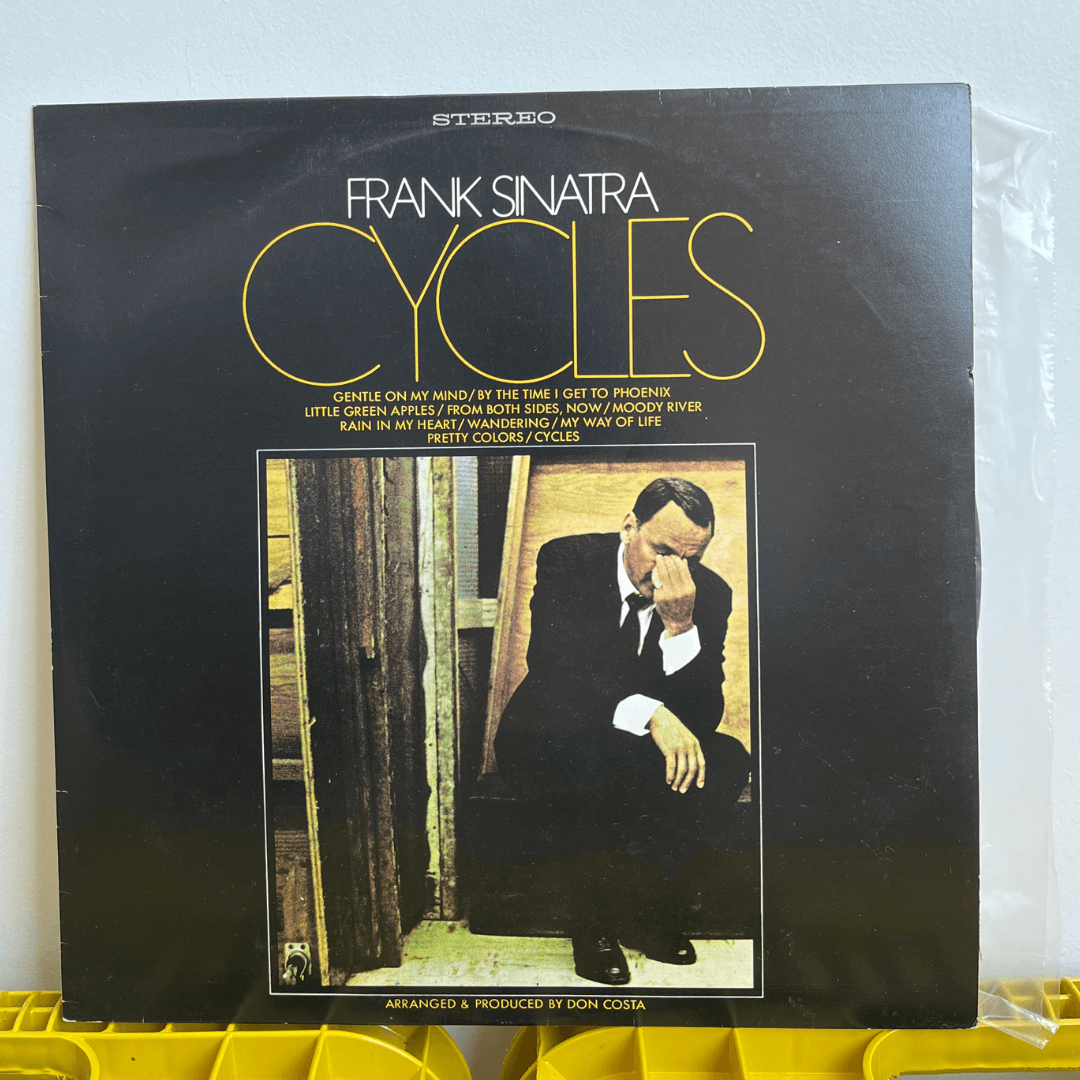 Dupla de Discos de Vinil do Frank Sinatra anos 1970