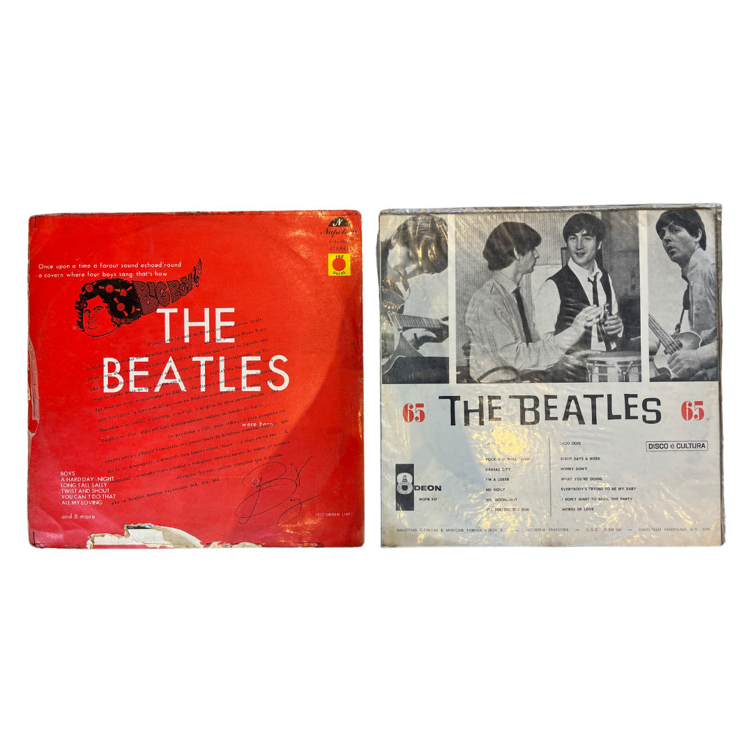 Dupla de Discos de Vinil The Beatles