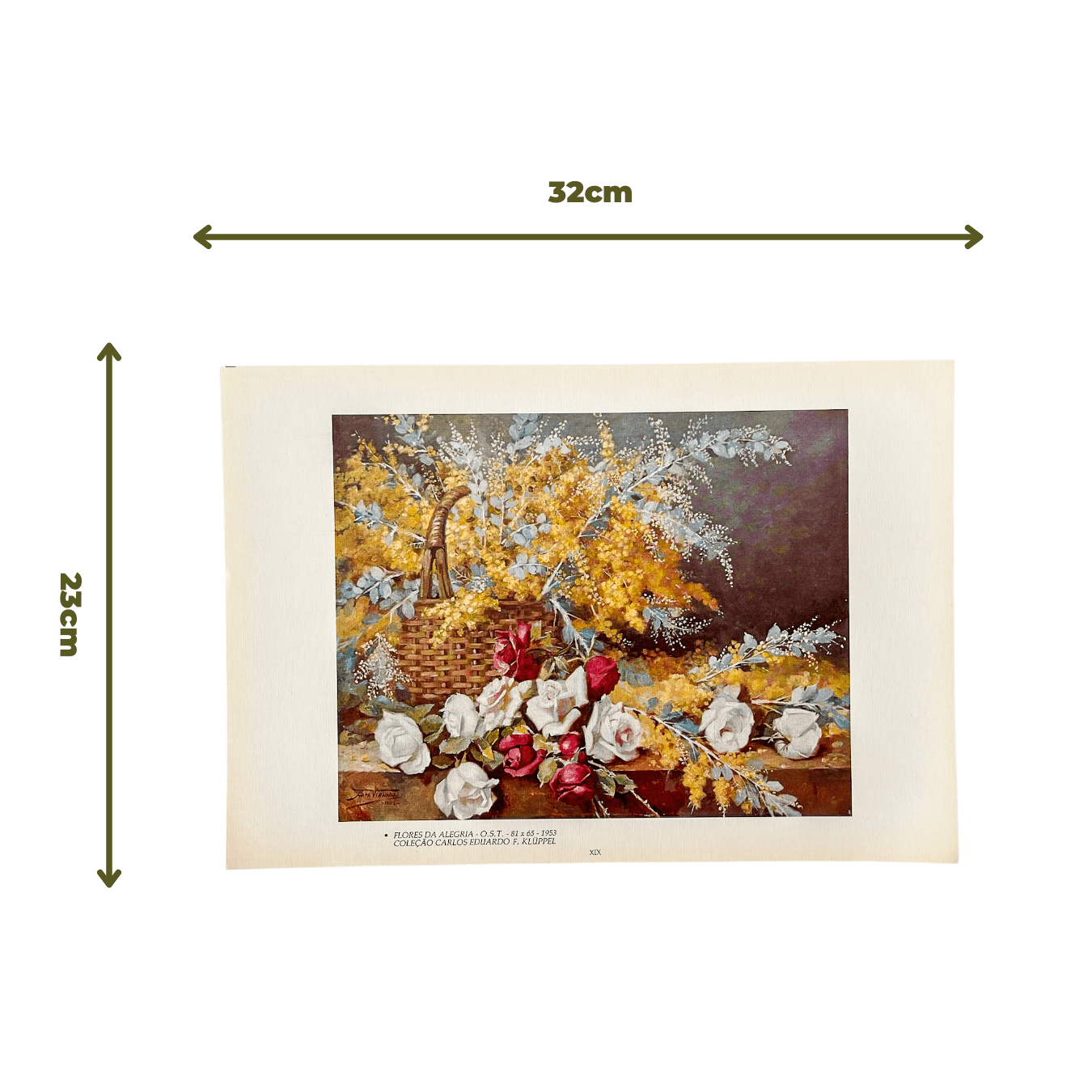 Reprodução "Flores da Alegria" de Armando Vianna de 1953 medidas
